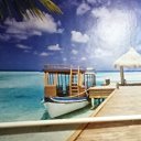  Viktor, , 62  -  25  2023    