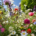 ���� ����, ������, 51 ��� - ��������� 9 ���� 2025