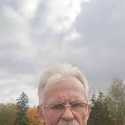 , 65, 