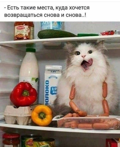   - 29  2025  21:01