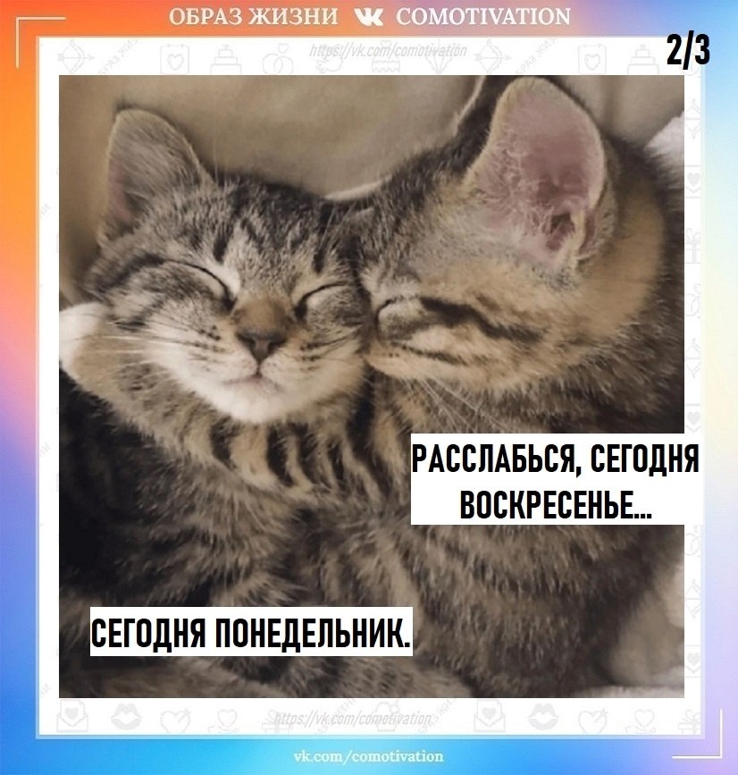 Co-Motivation.... . - 11  2025  10:17 - 2