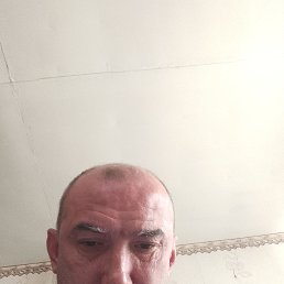 , 48, 