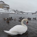 ���� Julia, ����� - ��������� 10 ������� 2025