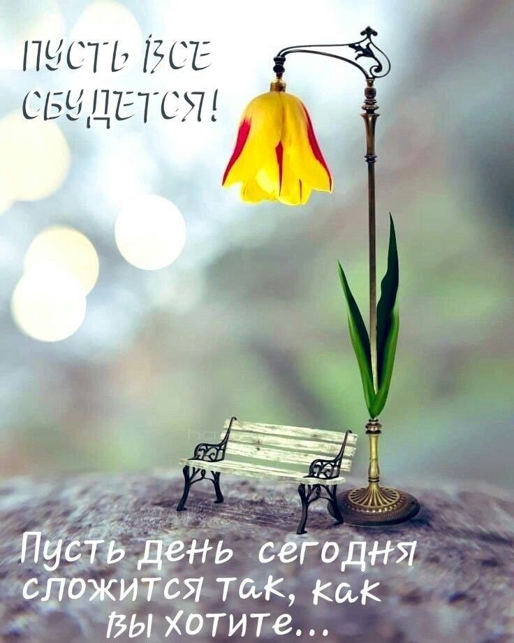   ,    . - 6  2025  23:06