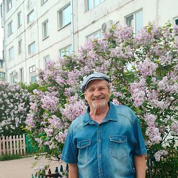 , 67 , 
