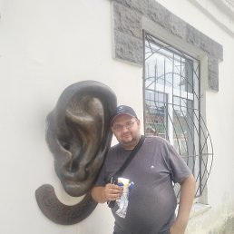 �����, 41 ���, ������-���