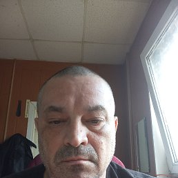 , 51, 