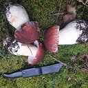 ���� ��������, �����-���������, 71 ��� - ��������� 14 �������� 2025 � ������ ���� ����������