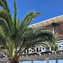 ���� �����, ���� - ��������� 10 ���� 2026 � ������ ������������