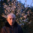 ���� �����, �����, 53 ���� - ��������� 7 ������ 2026 � ������ ���� ����������