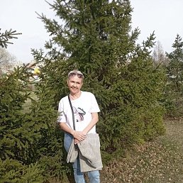 ���� �����, ����, 52 ���� - ��������� 31 ����� 2026