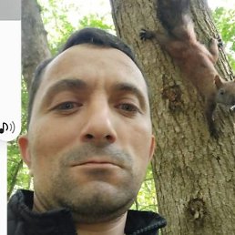 ����, ���������, 42 ����