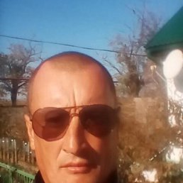 ������, �������, 44 ����