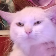 ����, 19 ���, ����