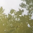 ���� ����� ������, ����� - ��������� 24 ����� 2025 � ������ ������ ��������