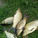 ���� Alexander, ������, 43 ���� - ��������� 11 ����� 2024 � ������ ���� ����������