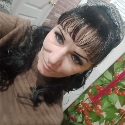 ����, ������, 41 ���