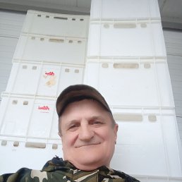 , 63, 