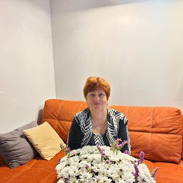 ���� �������, �����-���������, 72 ���� - ��������� 14 ������ 2023