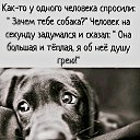 ���� ���, ����������� - ��������� 10 ������ 2026