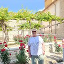 ���� ���������, �������� - ��������� 28 ����� 2026