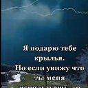 ���� �����, �����, 40 ��� - ��������� 8 ������ 2025