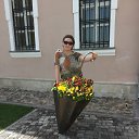 ���� �����, �����-���������, 67 ��� - ��������� 16 ������ 2026 � ������ ���� ����������