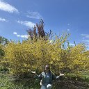 ���� ������, �������, 62 ���� - ��������� 13 ��� 2025 � ������ ���� ����������