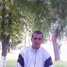, 44, 