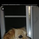 ���� �����, ����������, 47 ��� - ��������� 19 ������ 2025 � ������ ������ ��������