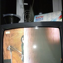 ������, ������, 55 ���