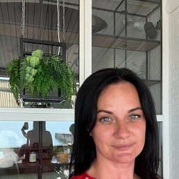 , 41, 