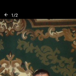 , 53, 