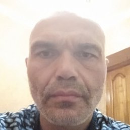 �������, ����������, 46 ���