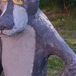 , -, 48 