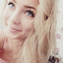 ���� �����, �����-���������, 41 ��� - ��������� 16 ������� 2026
