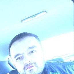 �����, 33 ����, �������