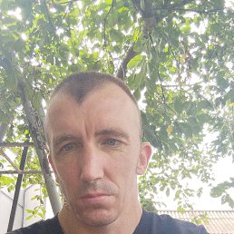 , 37, 