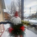 ���� ������, ������ - ��������� 24 ������� 2024 � ������ ���� ����������