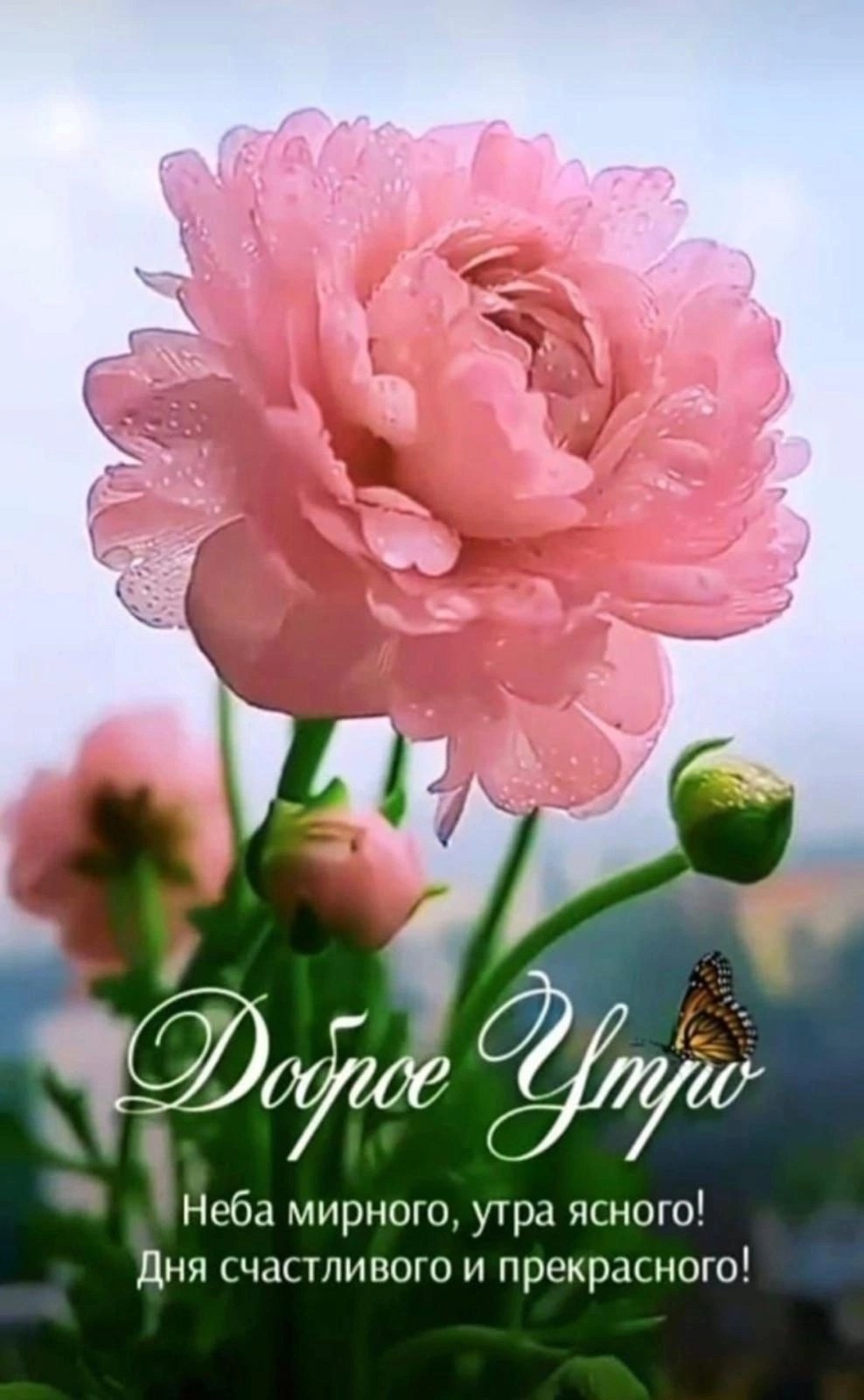 ���� - 14 ���� 2025 � 08:56