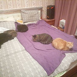 ���� ������ ��������, ������, 63 ���� - ��������� 1 ������� 2023