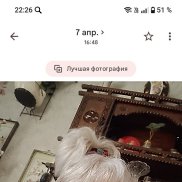������� ����������, 71 ���, ������