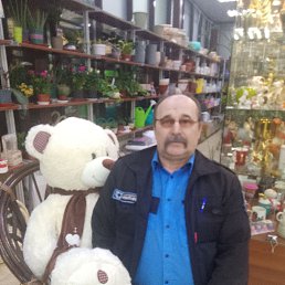 , 61, 