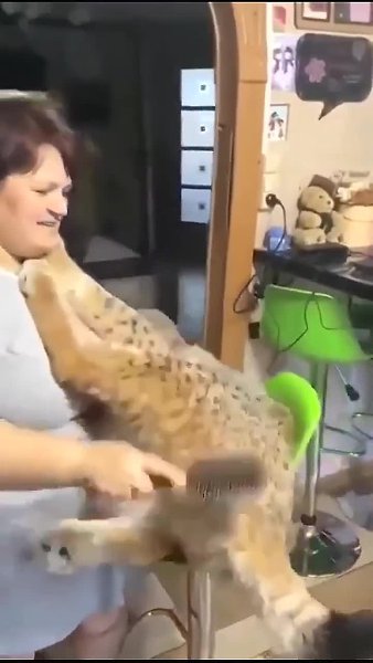 � ������� ������ ����� � ����.. - 2