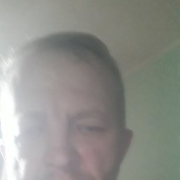 , 52, 