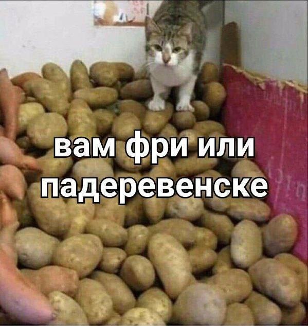    - 10  2023  17:30