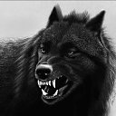  Kenigsberg(), , 52  -  25  2025    