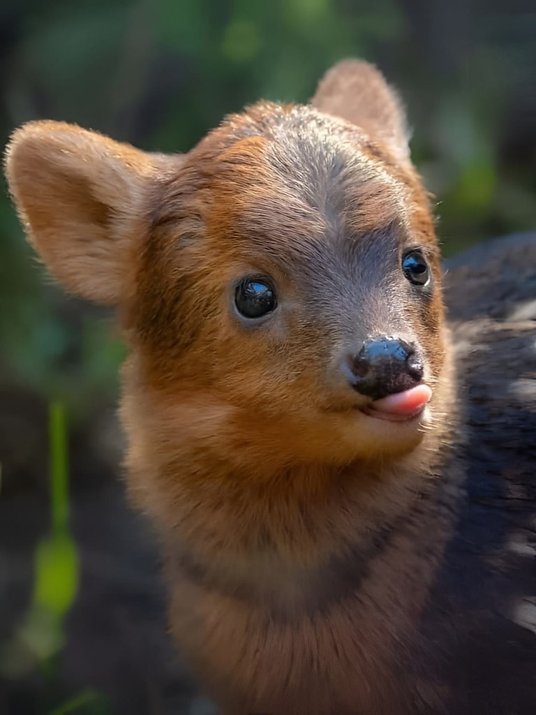   -     .  3     . - 4