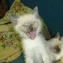 ���� �������, ������, 55 ��� - ��������� 6 ������� 2025 � ������ ������� ���