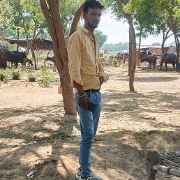 Jashu, ���-����, 25 ���